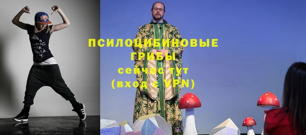 тгк Балахна