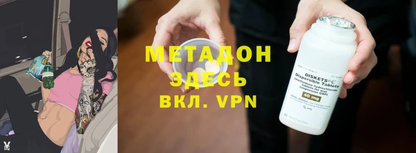 гидра Богданович